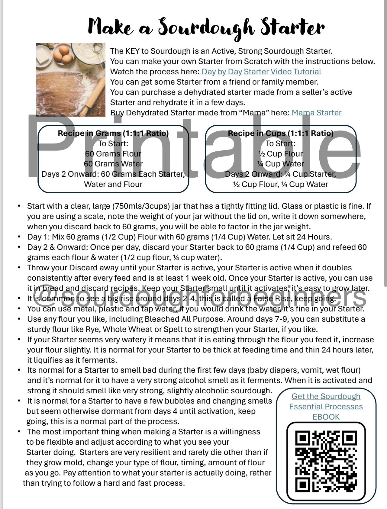 Printable Sourdough Essential Processes Recipes - Starter, Maintenance, Beginner Bread Recipe, Level 2 Hydration Recipes with Instructions