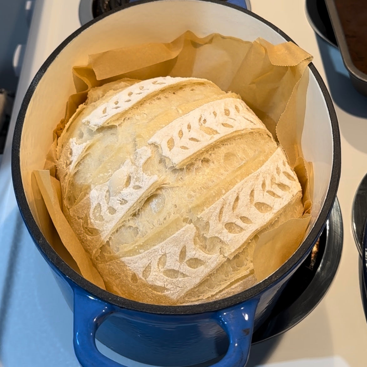 Printable Sourdough Essential Processes Recipes - Starter, Maintenance, Beginner Bread Recipe, Level 2 Hydration Recipes with Instructions